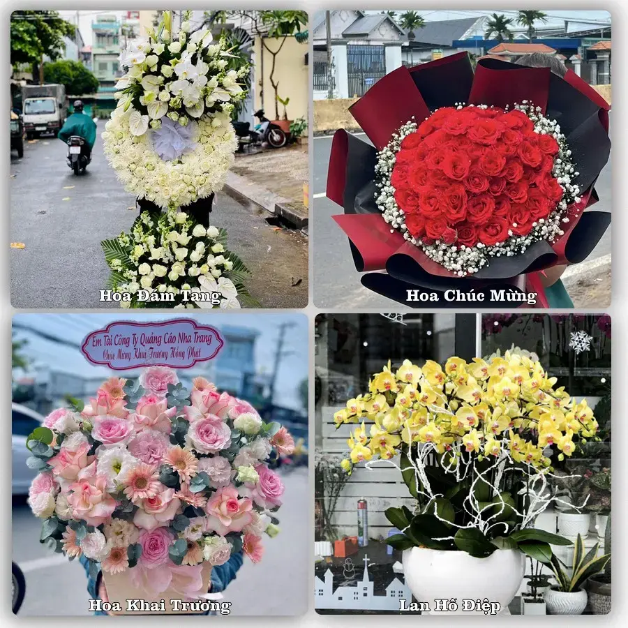 Dịch vụ đặt hoa và giao tận nơi tại Phường Ninh Chử - Tỉnh Khánh Hòa