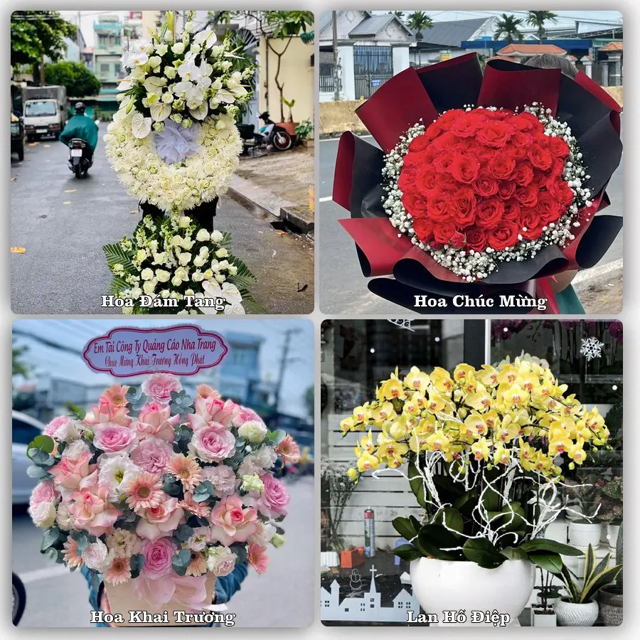 Dịch vụ đặt hoa và giao tận nơi tại Phường Ninh Chử - Tỉnh Khánh Hòa