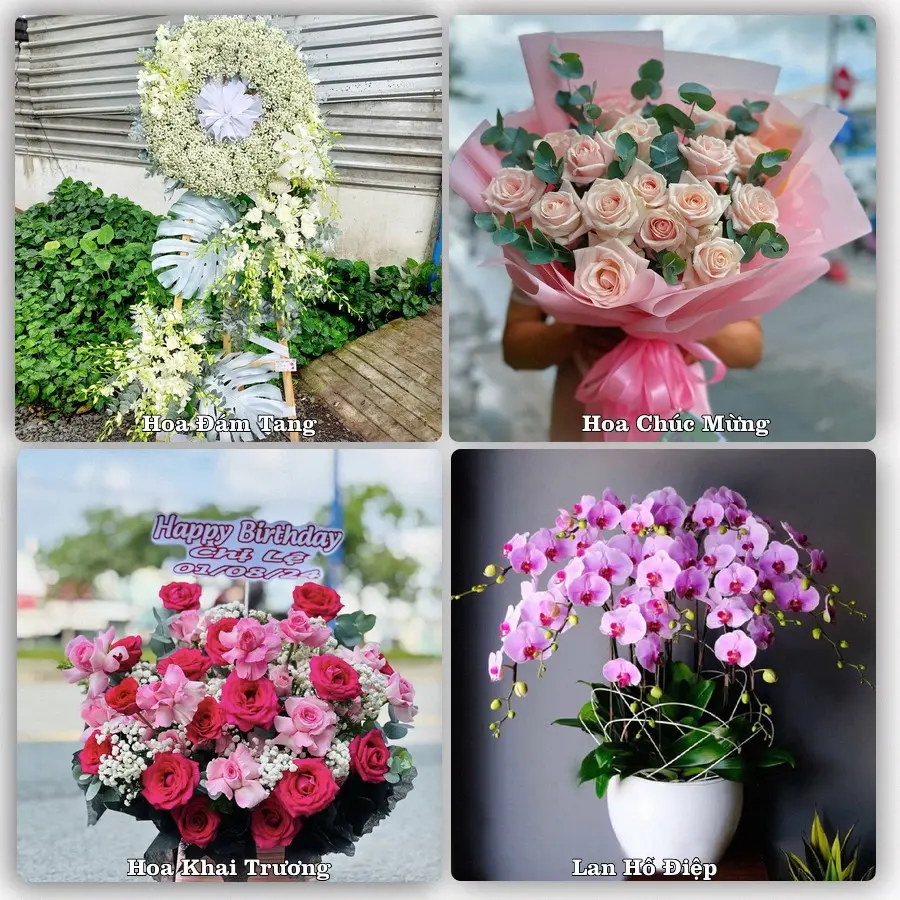 Mẫu hoa phục vụ nhu cầu đặt hoa tại Xã Thạch Thất - Thành phố Hà Nội