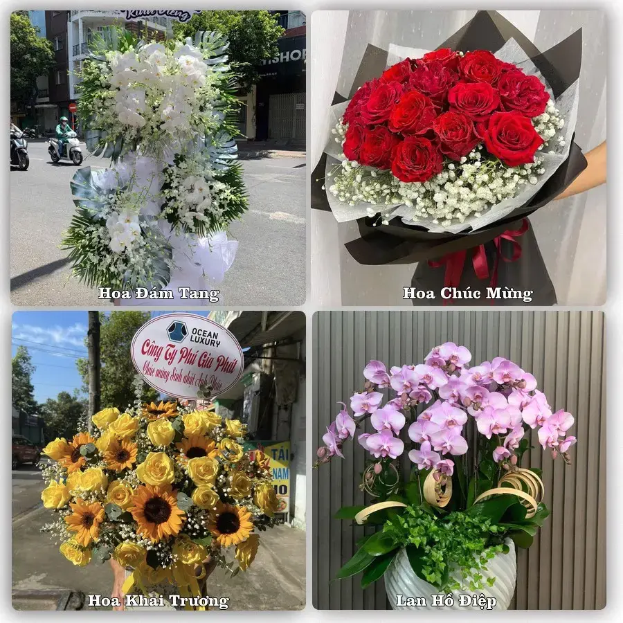 Mẫu hoa phục vụ nhu cầu đặt hoa tại Xã Thanh Bình - Tỉnh Đồng Tháp
