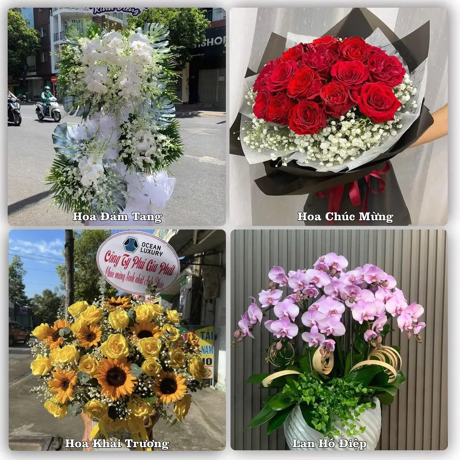 Mẫu hoa phục vụ nhu cầu đặt hoa tại Xã Thanh Bình - Tỉnh Đồng Tháp