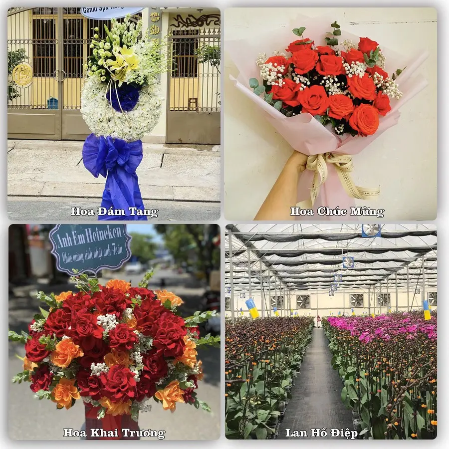 Mẫu hoa phục vụ nhu cầu đặt hoa tại Xã Vĩnh Hải - Thành phố Hải Phòng