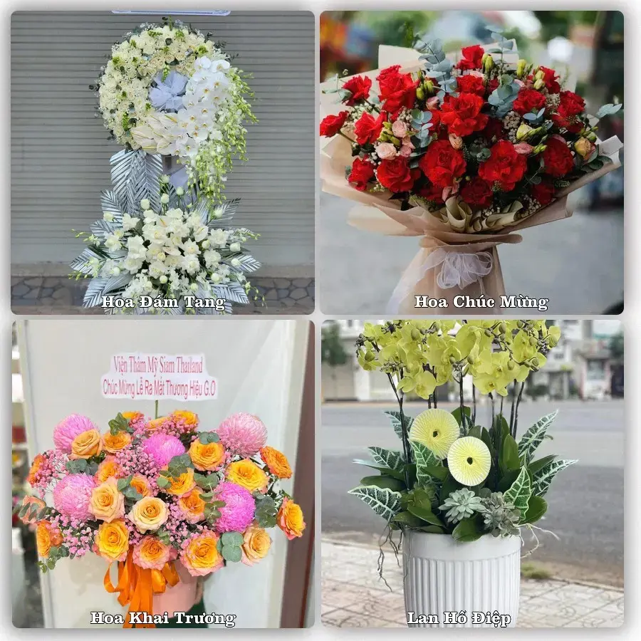 Tư vấn chọn hoa theo người nhận và dịp tặng tại Xã Vĩnh Hải - Thành phố Hải Phòng