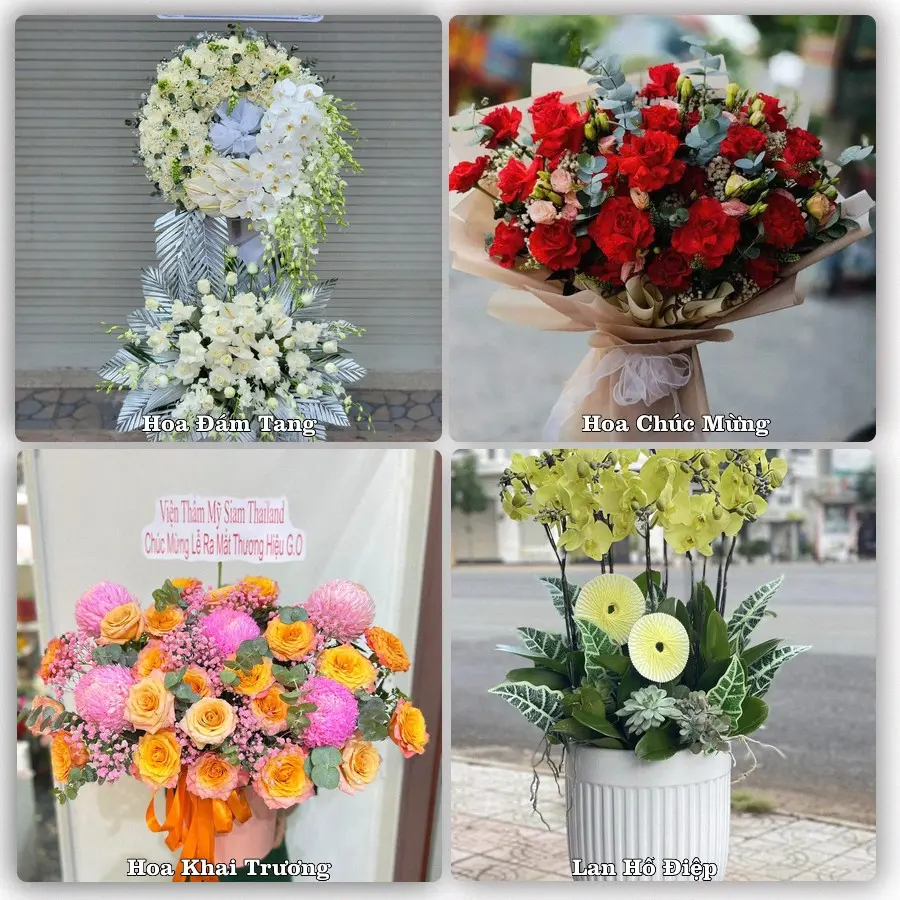 Tư vấn chọn hoa theo người nhận và dịp tặng tại Xã Vĩnh Hải - Thành phố Hải Phòng