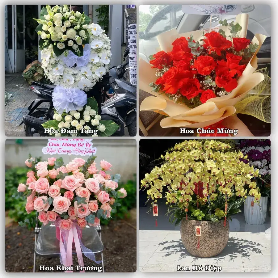 Hoa tươi Phường An Phú, Gia Lai – mẫu hoa theo dịp, giá tham khảo