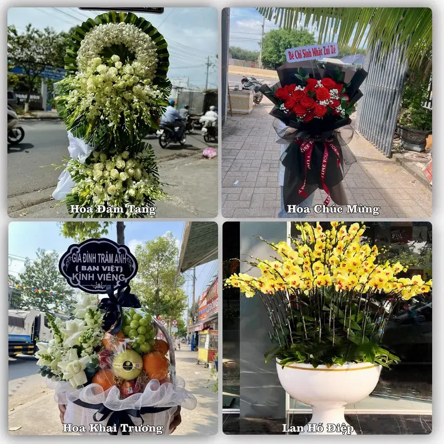 Tư vấn chọn hoa theo người nhận và dịp tặng tại Phường An Phú - Tỉnh Gia Lai