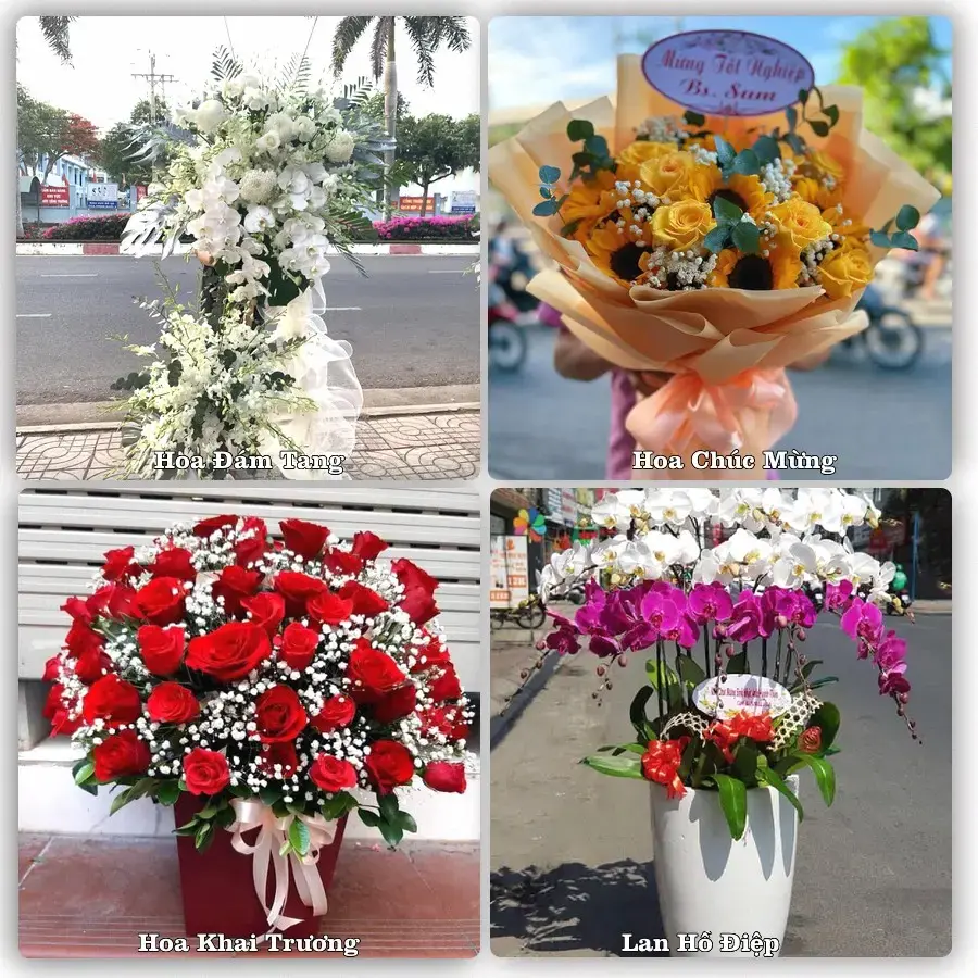 Hoa tươi Xã Bảo Đài, Bắc Ninh – mẫu hoa theo dịp, giá tham khảo