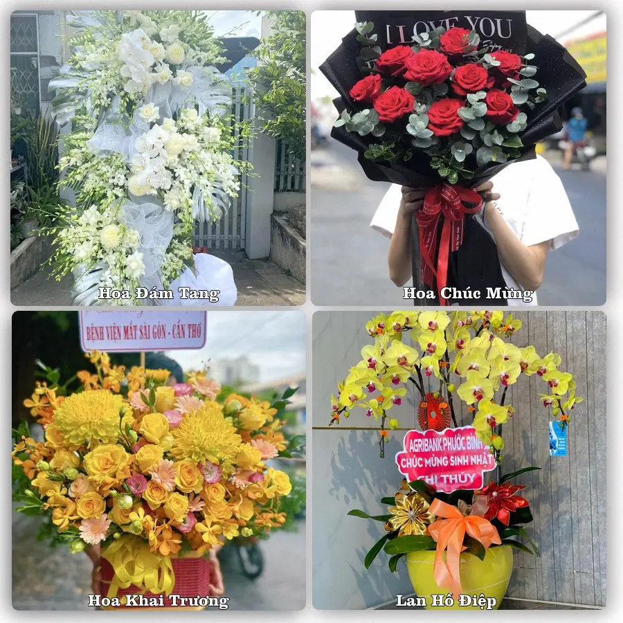 Dịch vụ đặt hoa và giao tận nơi tại Xã Bến Lức - Tỉnh Tây Ninh