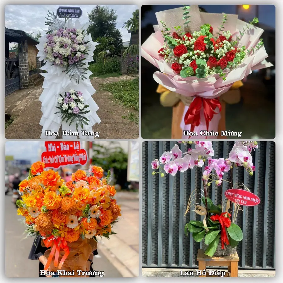 Mẫu hoa phục vụ nhu cầu đặt hoa tại Xã Bến Lức - Tỉnh Tây Ninh