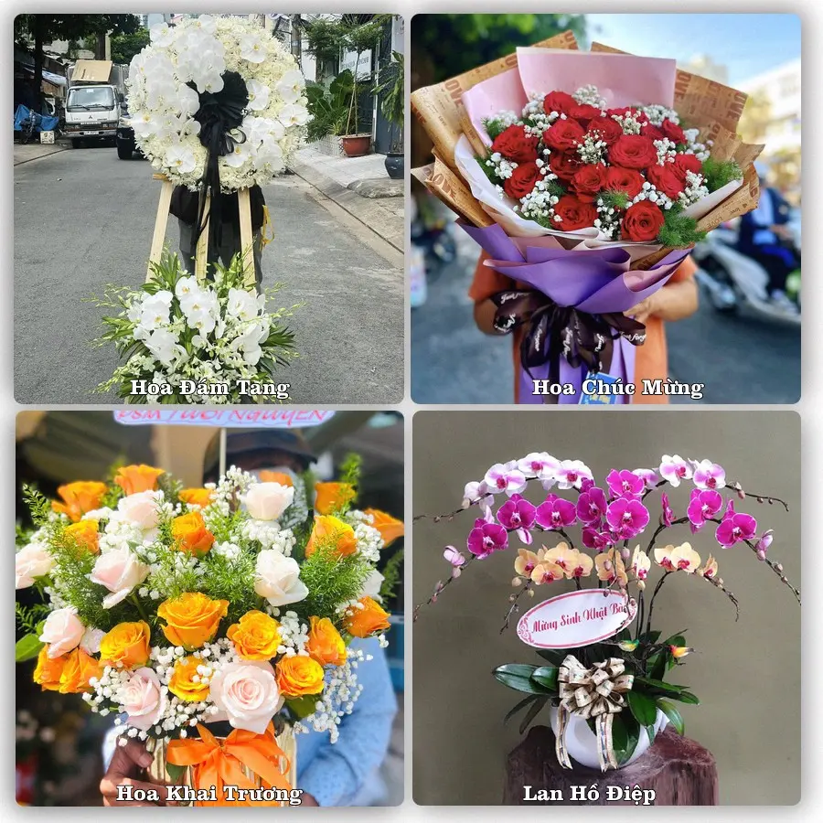 Tư vấn chọn hoa theo người nhận và dịp tặng tại Xã Cam Lâm - Tỉnh Khánh Hòa