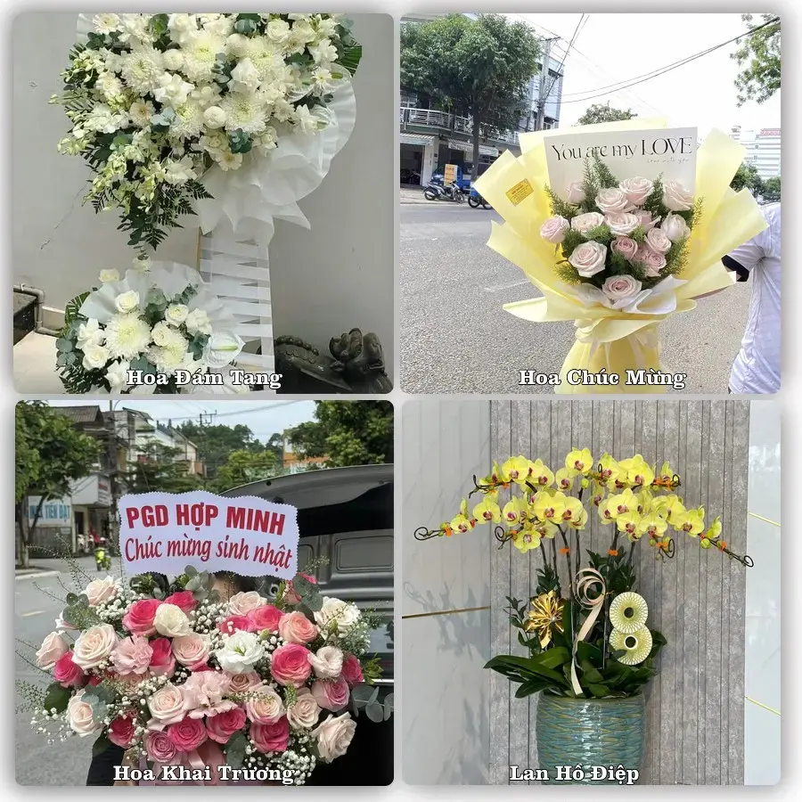 Hoa tươi Xã Càng Long, Vĩnh Long – mẫu hoa theo dịp, giá tham khảo