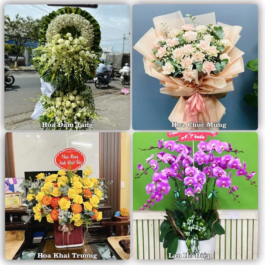 Tư vấn chọn hoa theo người nhận và dịp tặng tại Xã Càng Long - Tỉnh Vĩnh Long