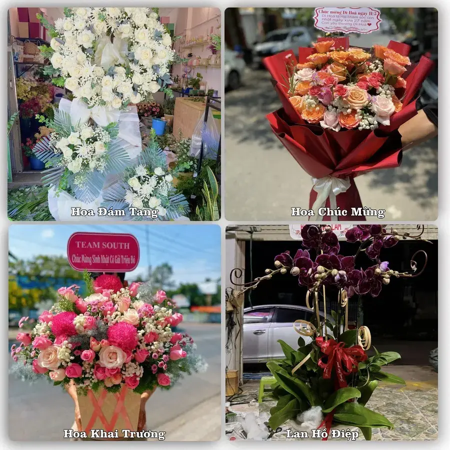 Hoa tươi Phường Điện Bàn Bắc, Đà Nẵng – mẫu hoa theo dịp, giá tham khảo
