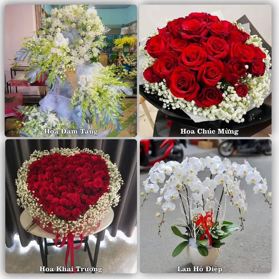 Tư vấn chọn hoa theo người nhận và dịp tặng tại Phường Điện Bàn Bắc - Thành phố Đà Nẵng