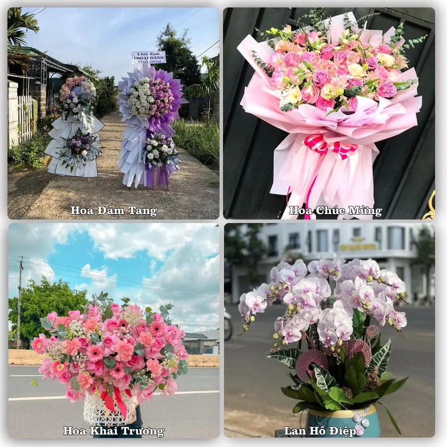 Tư vấn chọn hoa theo người nhận và dịp tặng tại Xã Phan Rí Cửa - Tỉnh Lâm Đồng