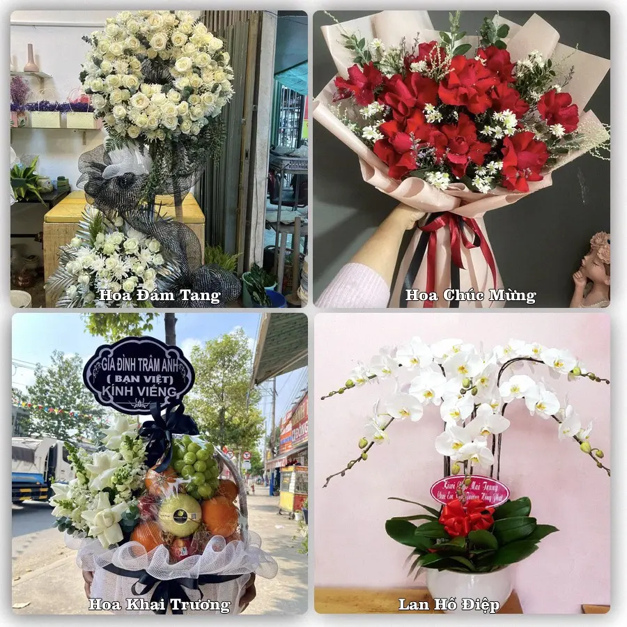 Tư vấn chọn hoa theo người nhận và dịp tặng tại Phường Phước Hậu - Tỉnh Vĩnh Long