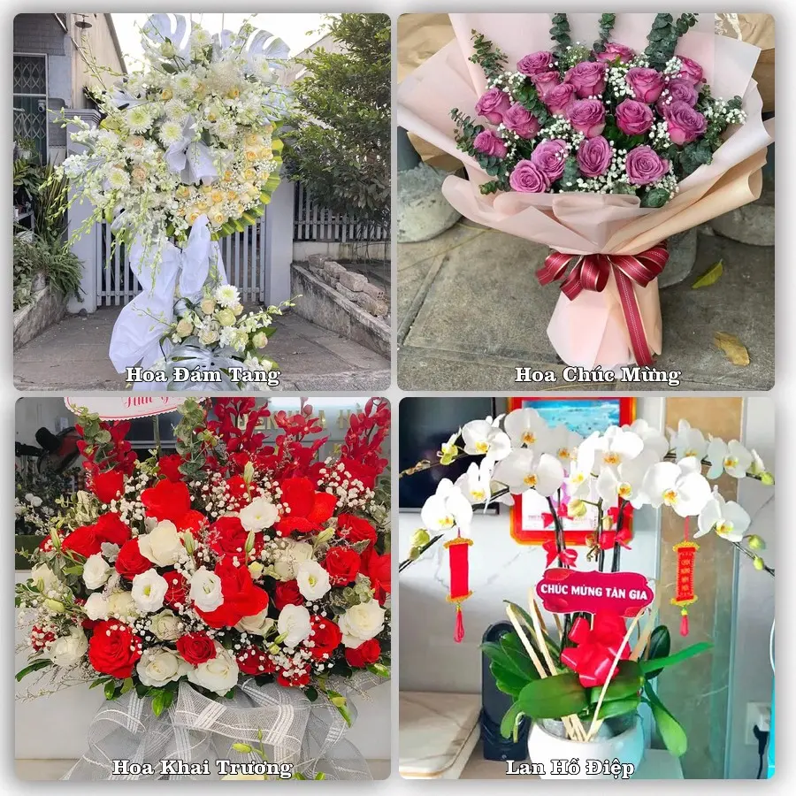 Tư vấn chọn hoa theo người nhận và dịp tặng tại Xã Vân Tụ - Tỉnh Nghệ An