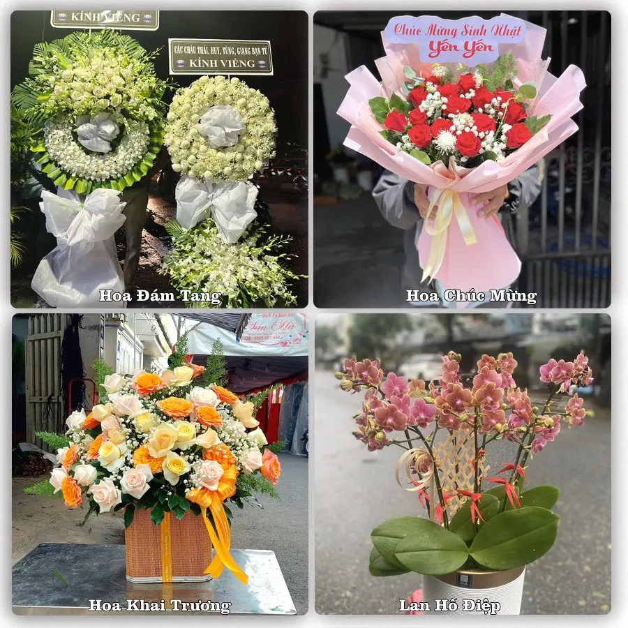 Tư vấn chọn hoa theo người nhận và dịp tặng tại Xã Vĩnh Hưng - Tỉnh Phú Thọ