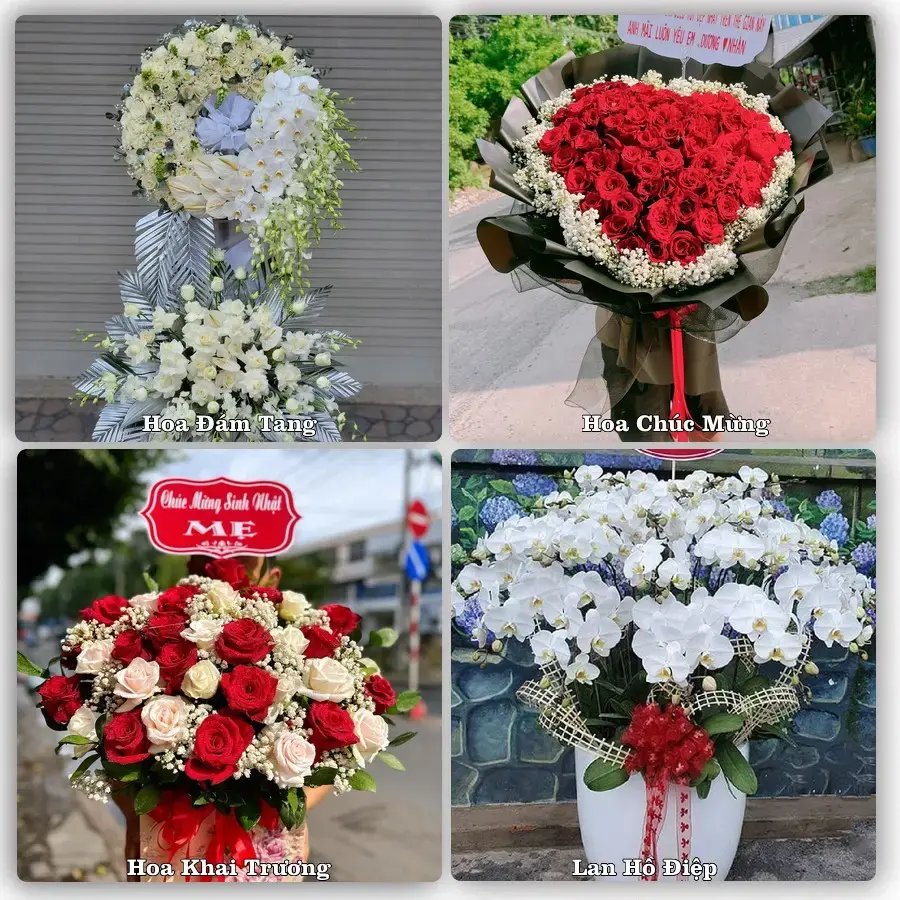 Đặt hoa tại Phường 1 Bảo Lộc, Lâm Đồng – giao tận nơi, duyệt mẫu trước