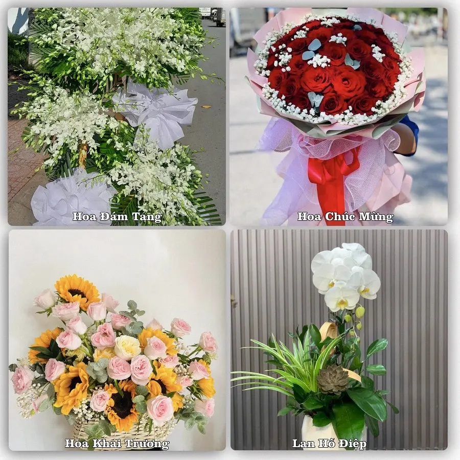 Tư vấn chọn hoa theo người nhận và dịp tặng tại Phường 1 Bảo Lộc - Tỉnh Lâm Đồng