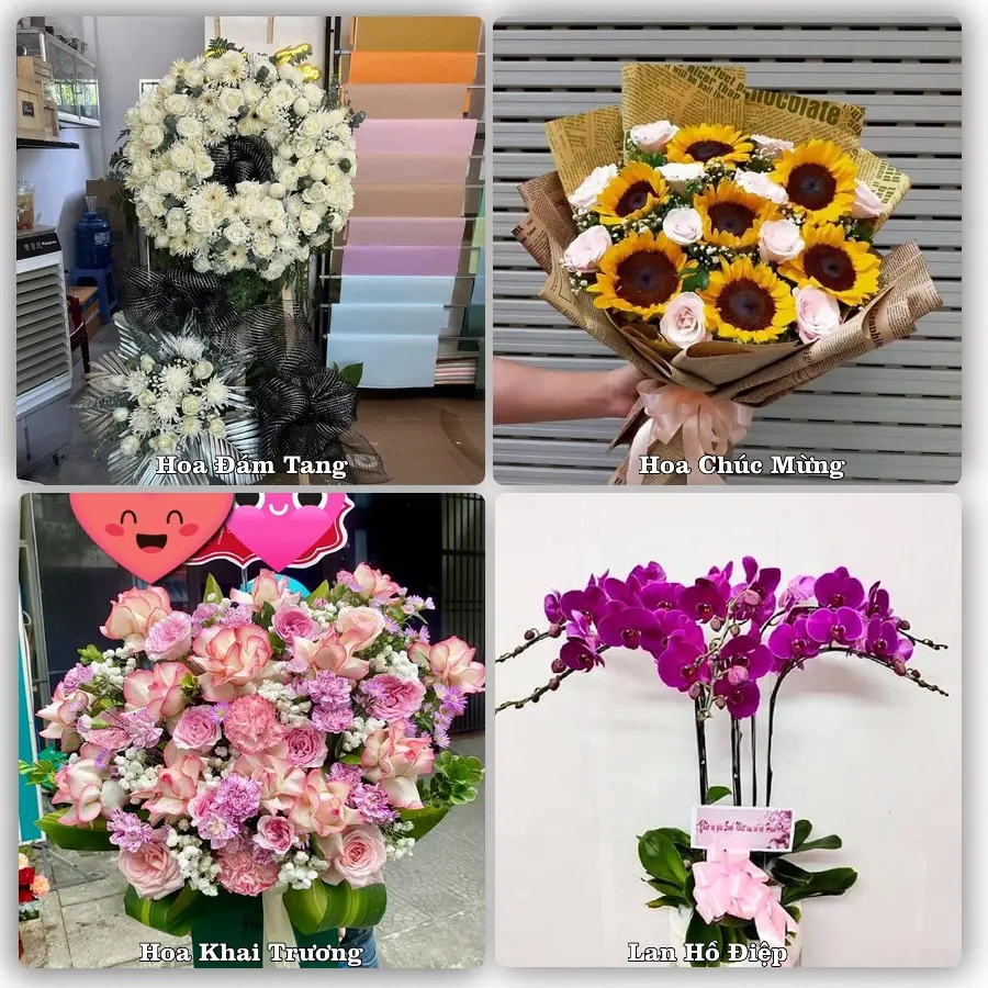 Tư vấn chọn hoa theo người nhận và dịp tặng tại Phường An Hội - Tỉnh Vĩnh Long