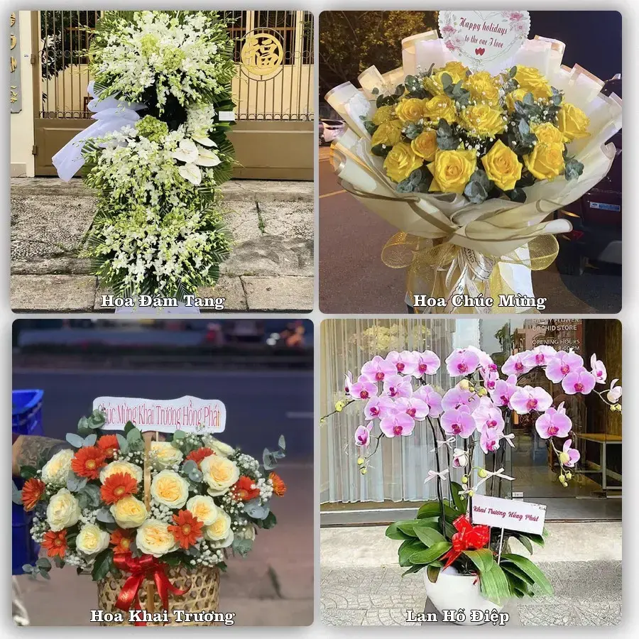 Đặt hoa tại Phường Cam Ranh, Khánh Hòa – giao tận nơi, duyệt mẫu trước