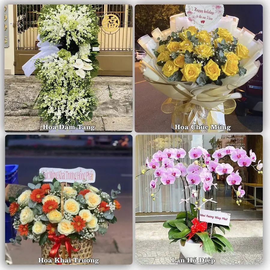 Mẫu hoa phục vụ nhu cầu đặt hoa tại Phường Cam Ranh - Tỉnh Khánh Hòa