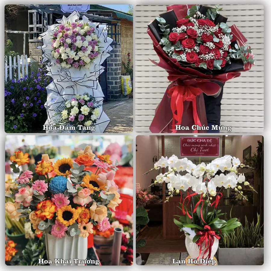 Tư vấn chọn hoa theo người nhận và dịp tặng tại Phường Cam Ranh - Tỉnh Khánh Hòa