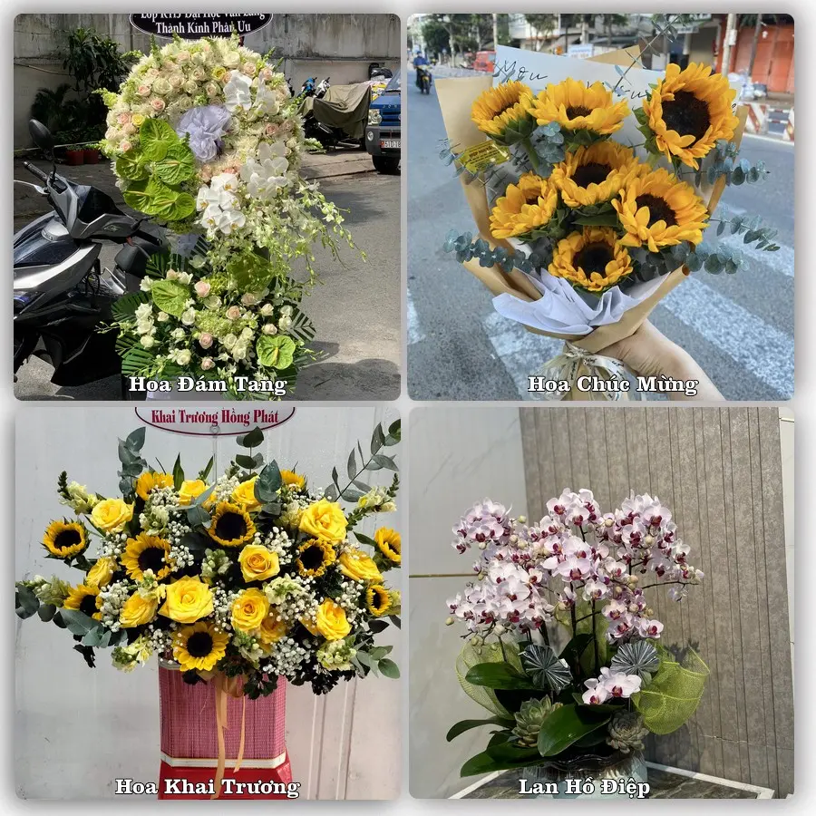 Dịch vụ đặt hoa và giao tận nơi tại Xã Điện Bàn Tây - Thành phố Đà Nẵng