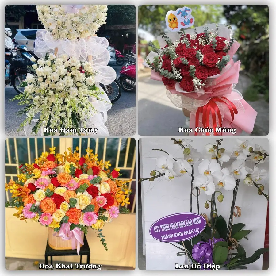 Tư vấn chọn hoa theo người nhận và dịp tặng tại Xã Điện Bàn Tây - Thành phố Đà Nẵng