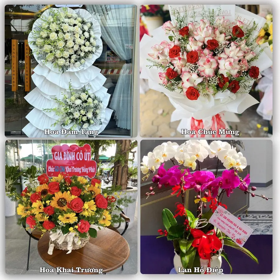 Tư vấn chọn hoa theo người nhận và dịp tặng tại Xã Đông Hưng - Tỉnh Hưng Yên