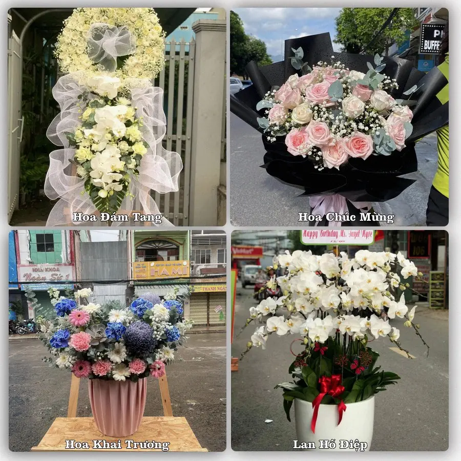 Mẫu hoa phục vụ nhu cầu đặt hoa tại Xã Hà Tây - Thành phố Hải Phòng