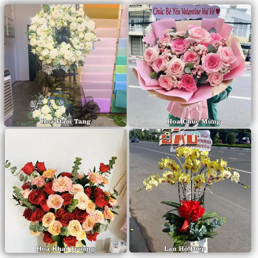 Tư vấn chọn hoa theo người nhận và dịp tặng tại Xã Hà Tây - Thành phố Hải Phòng