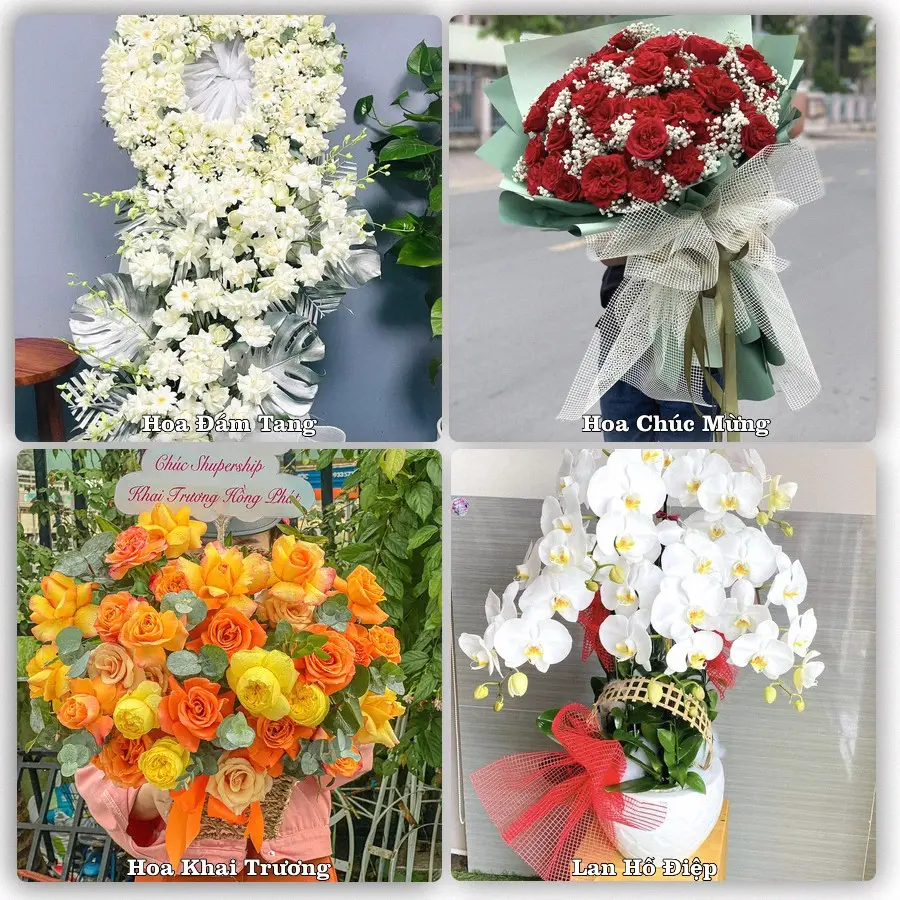 Dịch vụ đặt hoa và giao tận nơi tại Xã Lệ Thủy - Tỉnh Quảng Trị