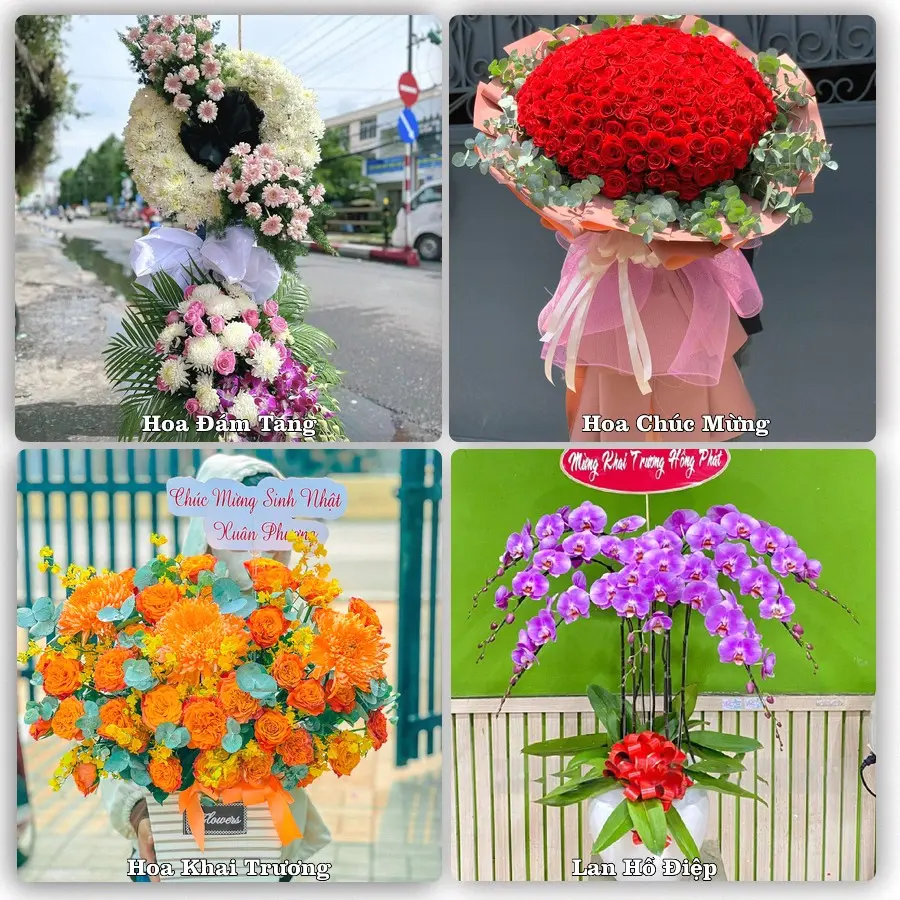 Mẫu hoa phục vụ nhu cầu đặt hoa tại Xã Lệ Thủy - Tỉnh Quảng Trị