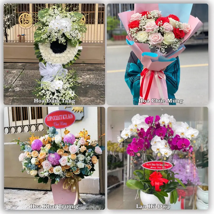 Tư vấn chọn hoa theo người nhận và dịp tặng tại Xã Lệ Thủy - Tỉnh Quảng Trị