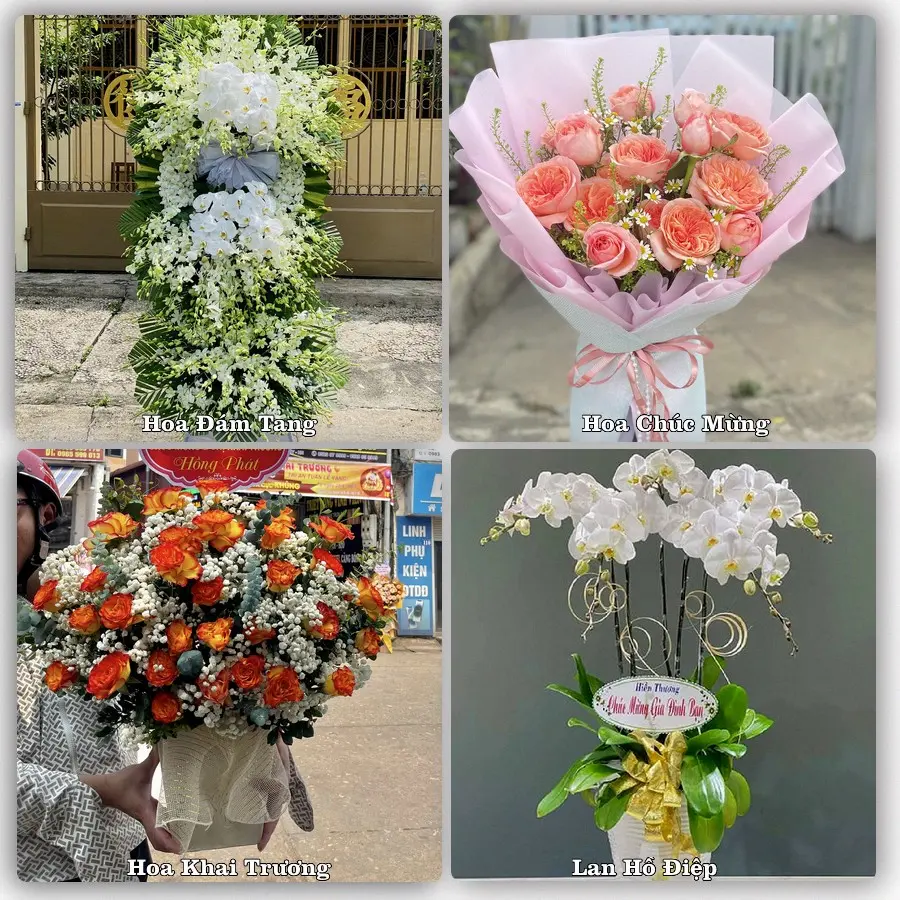 Mẫu hoa phục vụ nhu cầu đặt hoa tại Phường Long Châu - Tỉnh Vĩnh Long
