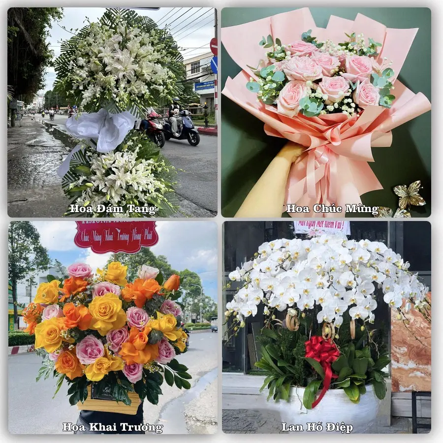 Tư vấn chọn hoa theo người nhận và dịp tặng tại Phường Long Châu - Tỉnh Vĩnh Long