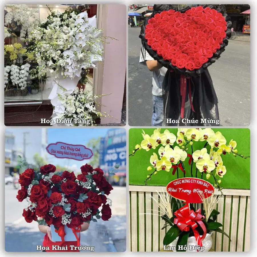 Mẫu hoa phục vụ nhu cầu đặt hoa tại Xã Nam Lý - Tỉnh Ninh Bình