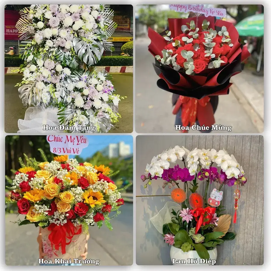Tư vấn chọn hoa theo người nhận và dịp tặng tại Xã Nam Lý - Tỉnh Ninh Bình