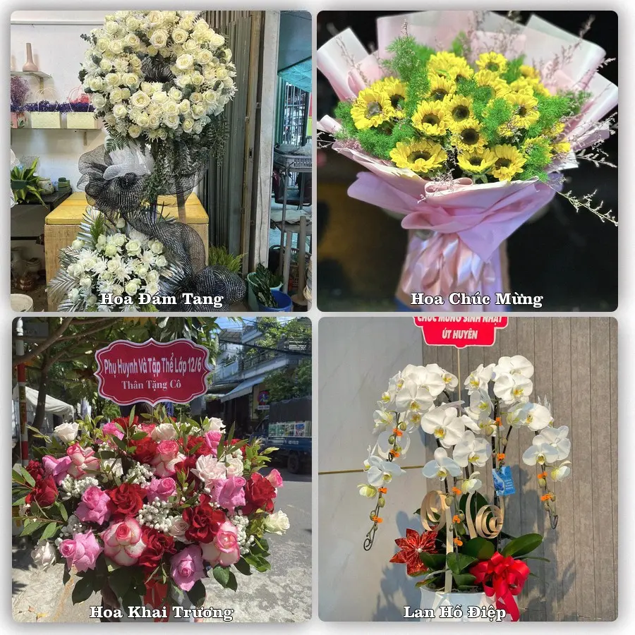 Tư vấn chọn hoa theo người nhận và dịp tặng tại Xã Nhơn Hội - Tỉnh An Giang