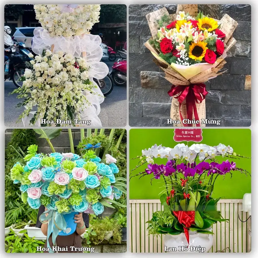 Đặt hoa tại Phường Tam Thanh, Lạng Sơn – giao tận nơi, duyệt mẫu trước