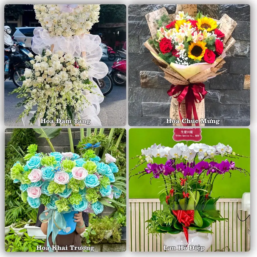 Mẫu hoa phục vụ nhu cầu đặt hoa tại Phường Tam Thanh - Tỉnh Lạng Sơn
