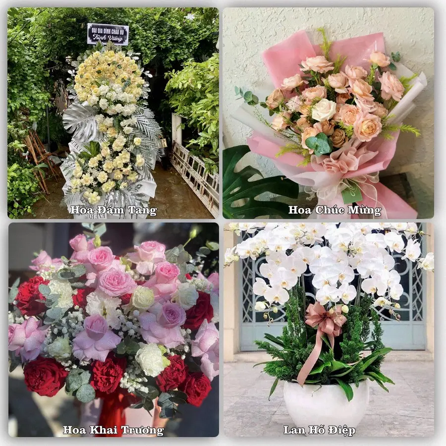 Dịch vụ đặt hoa và giao tận nơi tại Phường Tây Hoa Lư - Tỉnh Ninh Bình