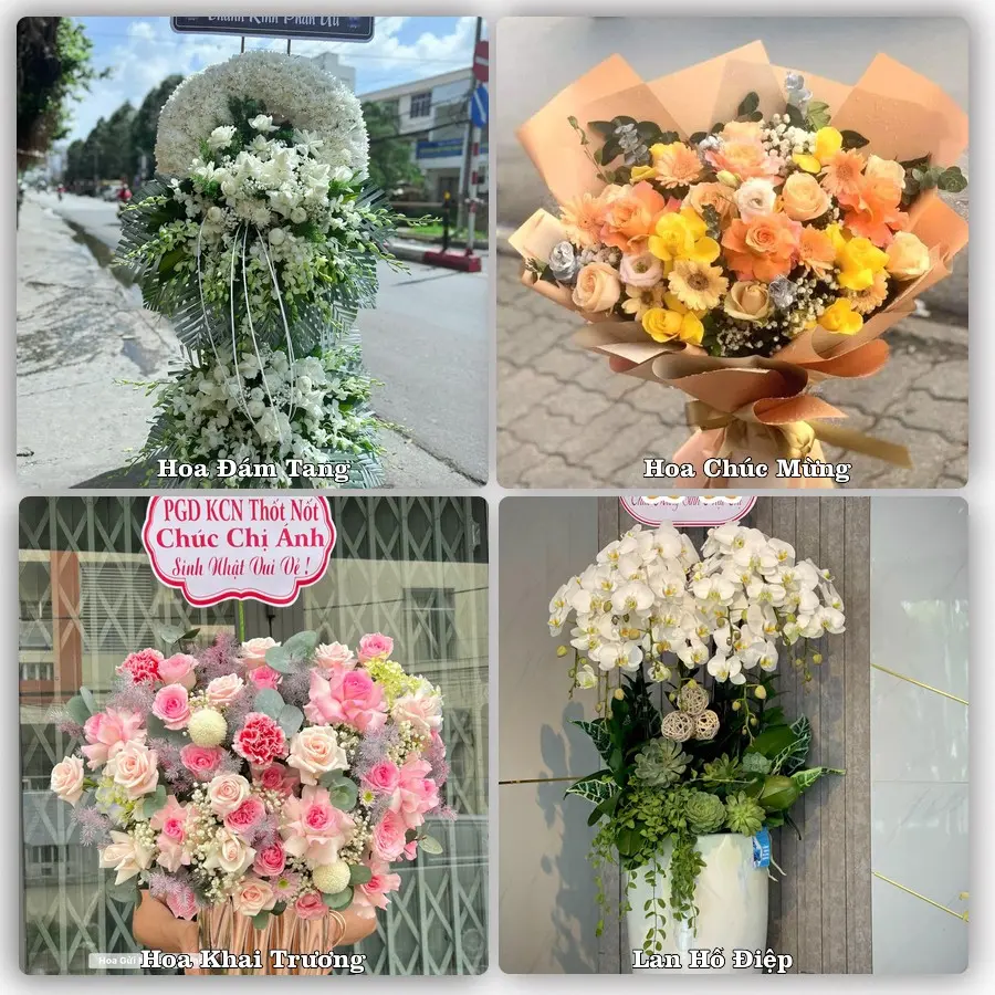 Dịch vụ đặt hoa và giao tận nơi tại Xã An Châu - Tỉnh Nghệ An