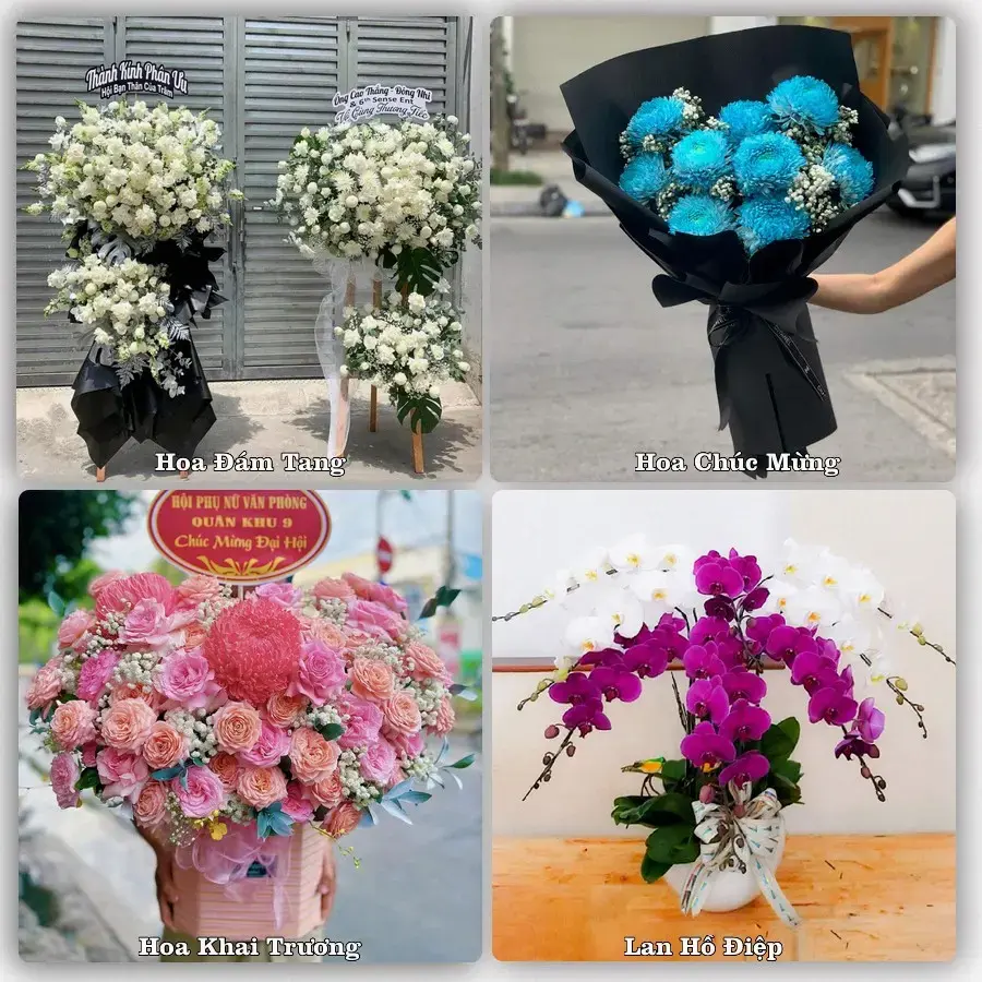 Tiệm hoa Xã Chợ Lách, Vĩnh Long – chọn hoa theo người nhận và dịp