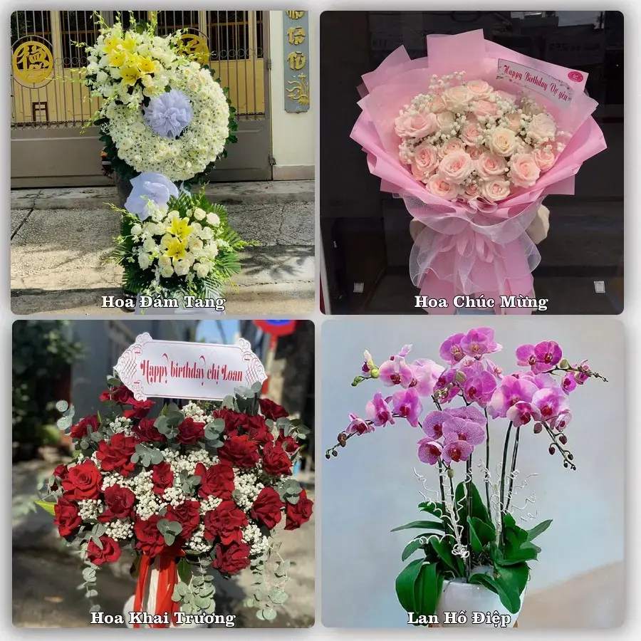 Tư vấn chọn hoa theo người nhận và dịp tặng tại Xã Chợ Lách - Tỉnh Vĩnh Long