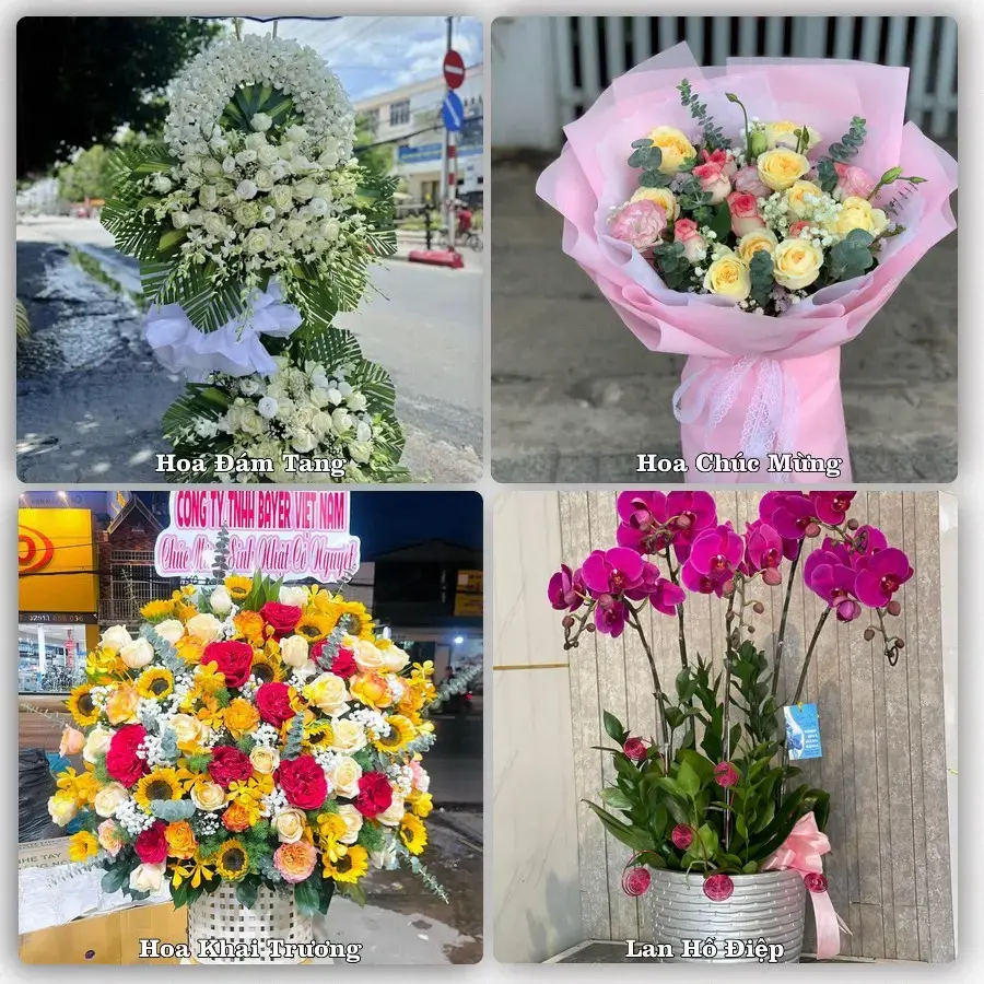 Tư vấn chọn hoa theo người nhận và dịp tặng tại Phường Cửa Ông - Tỉnh Quảng Ninh