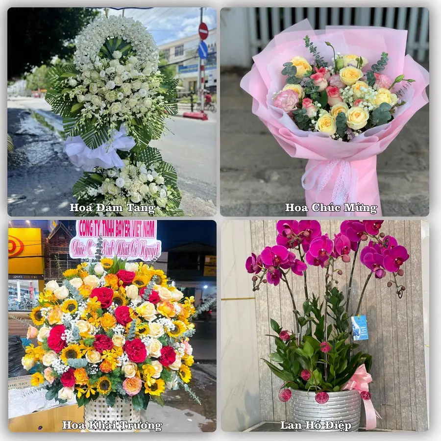 Tư vấn chọn hoa theo người nhận và dịp tặng tại Phường Cửa Ông - Tỉnh Quảng Ninh