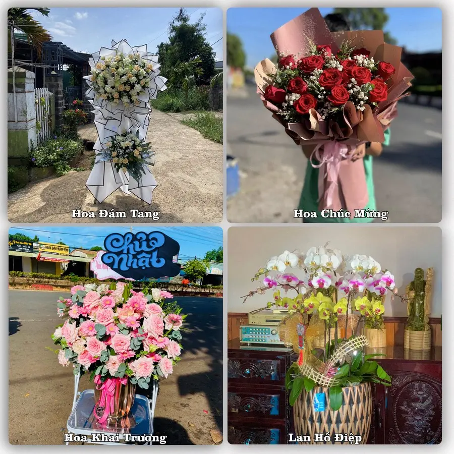Dịch vụ đặt hoa và giao tận nơi tại Phường Điện Bàn - Thành phố Đà Nẵng
